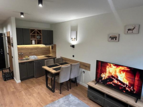 Apartman Mist - Bela Reka Kopaonik